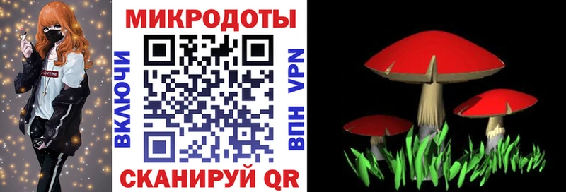 даркнет сайт  Семикаракорск  Псилоцибиновые грибы Cubensis 